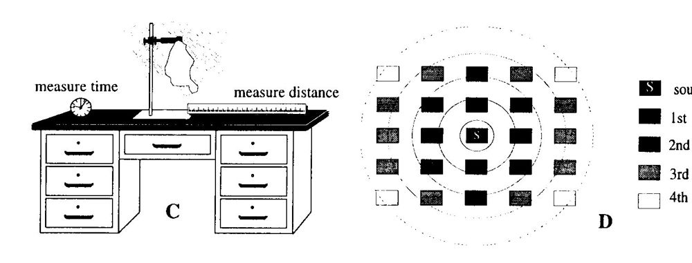 diffusion activity ( 2.3.2)