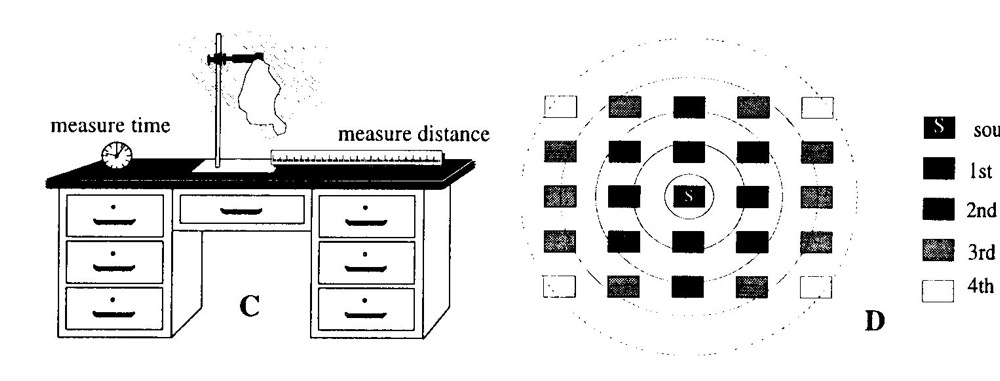 diffusion activity ( 2.3.2)