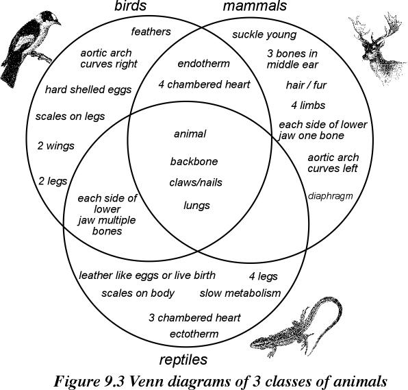 venn