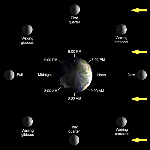 phases