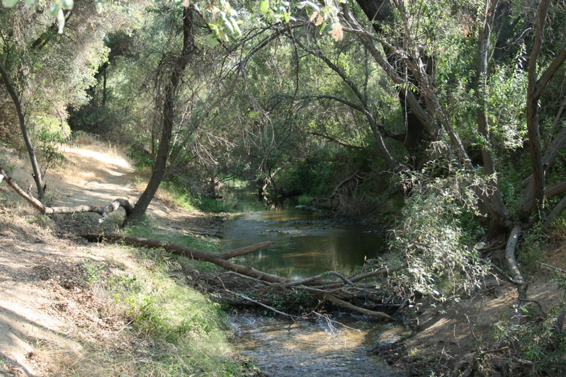 riparian habitat