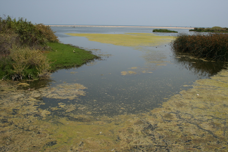 Malibu Lagoon