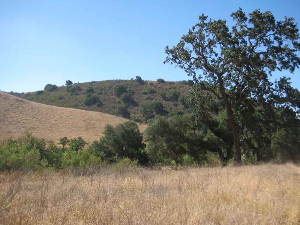 Chaparral, savannah, riparian, Cheeseboro