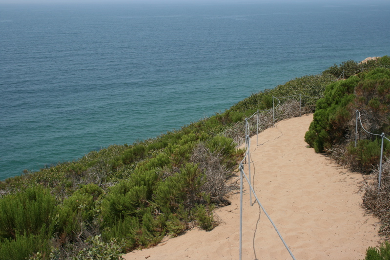 coastal sage ecosystem